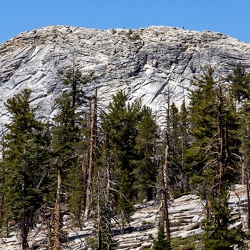 2025 Yosemite Long Loop