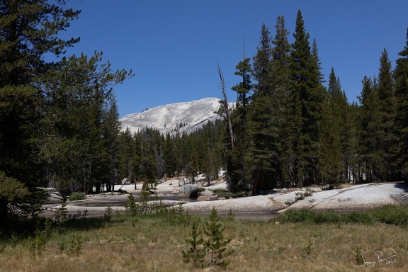 GAP20250809 Yosemite High Loop-1299