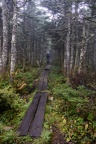 GAP20250903-AppalachianTrail-1462