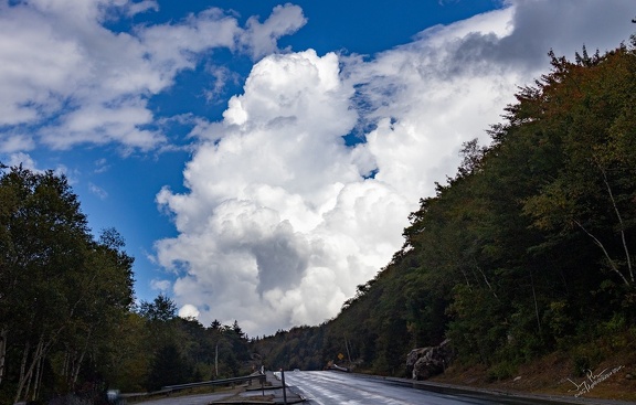 GAP20250903-AppalachianTrail-1009