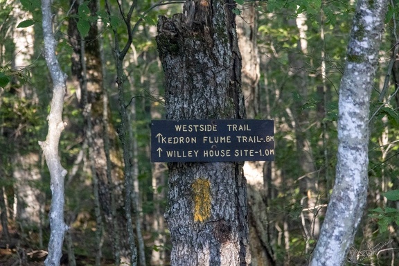 GAP20250903-AppalachianTrail-1051