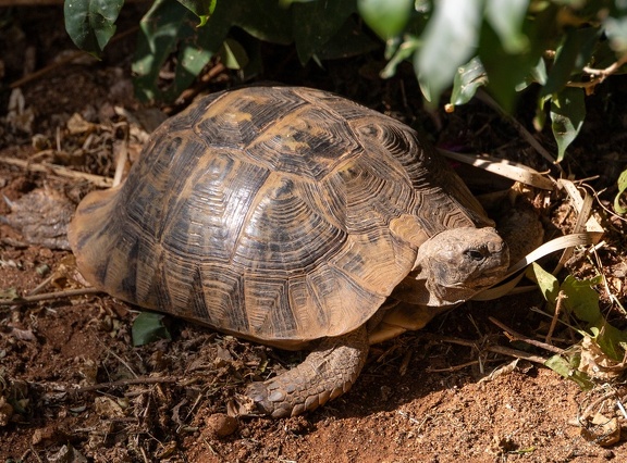 GAP20251030 Morocco-1135