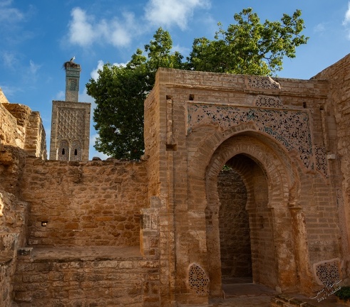 GAP20251030 Morocco-1055