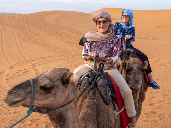 GAP20251104 Morocco - Erfoud-1598