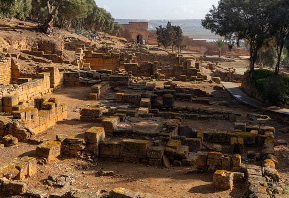 GAP20251030 Morocco-1041