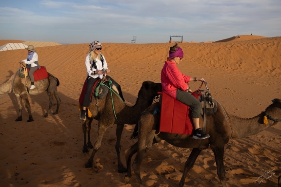 GAP20251104 Morocco - Erfoud-1533