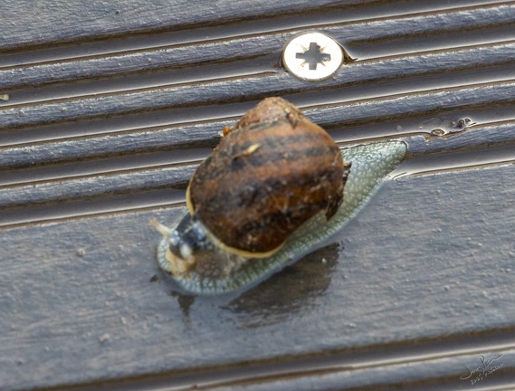 GAP20251030 Morocco-1037