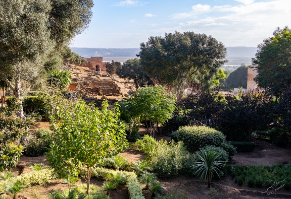 GAP20251030 Morocco-1031