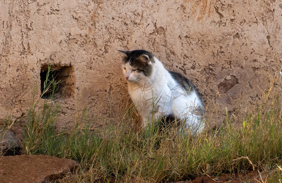 GAP20251030 Morocco-1028