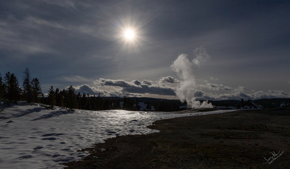 GAP20260202 Yellowstone-1246