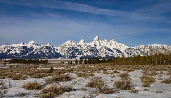 GAP20260201 Jackson Hole-1178
