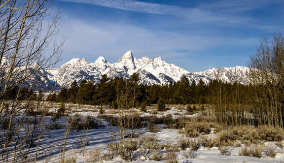 GAP20260201 Jackson Hole-1176