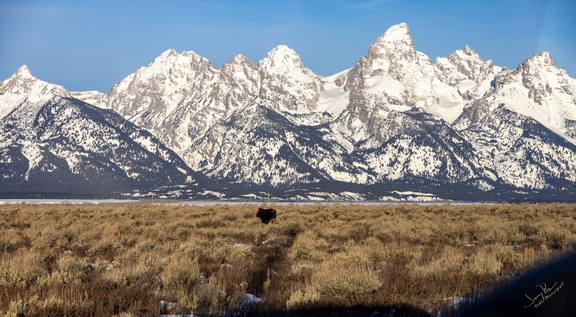 GAP20260201 Jackson Hole-1079